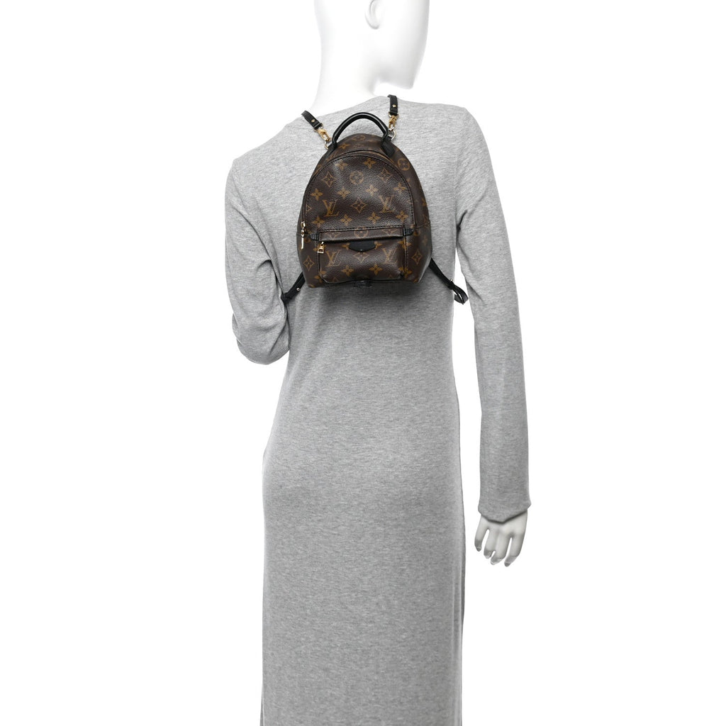 Monogram Palm Springs Backpack Mini