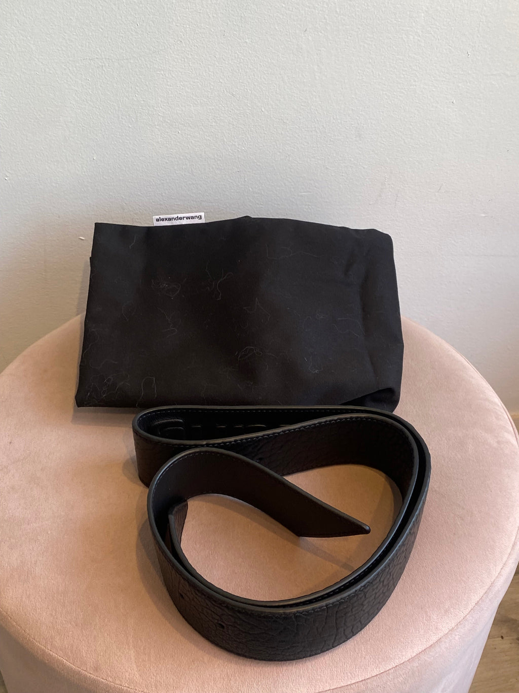 Alexander Wang Ricco Medium Flap