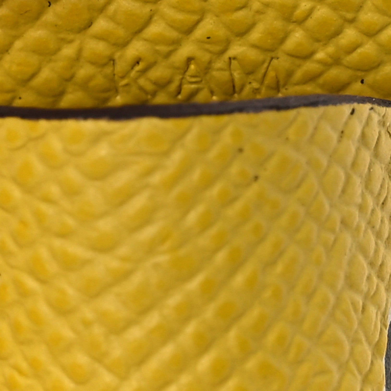 Epsom Swift Poisson Fish Charm Jaune de Naples