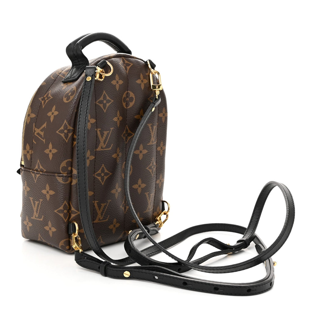 Monogram Palm Springs Backpack Mini