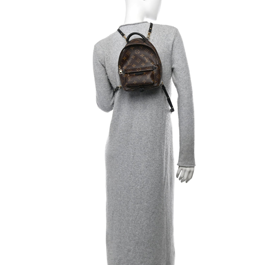 Monogram Palm Springs Backpack Mini
