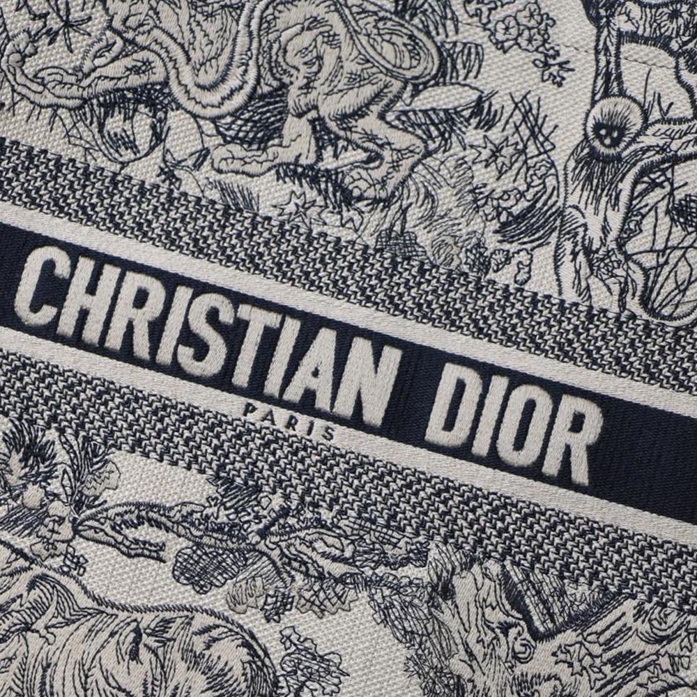 DIOR BOOK TOTE