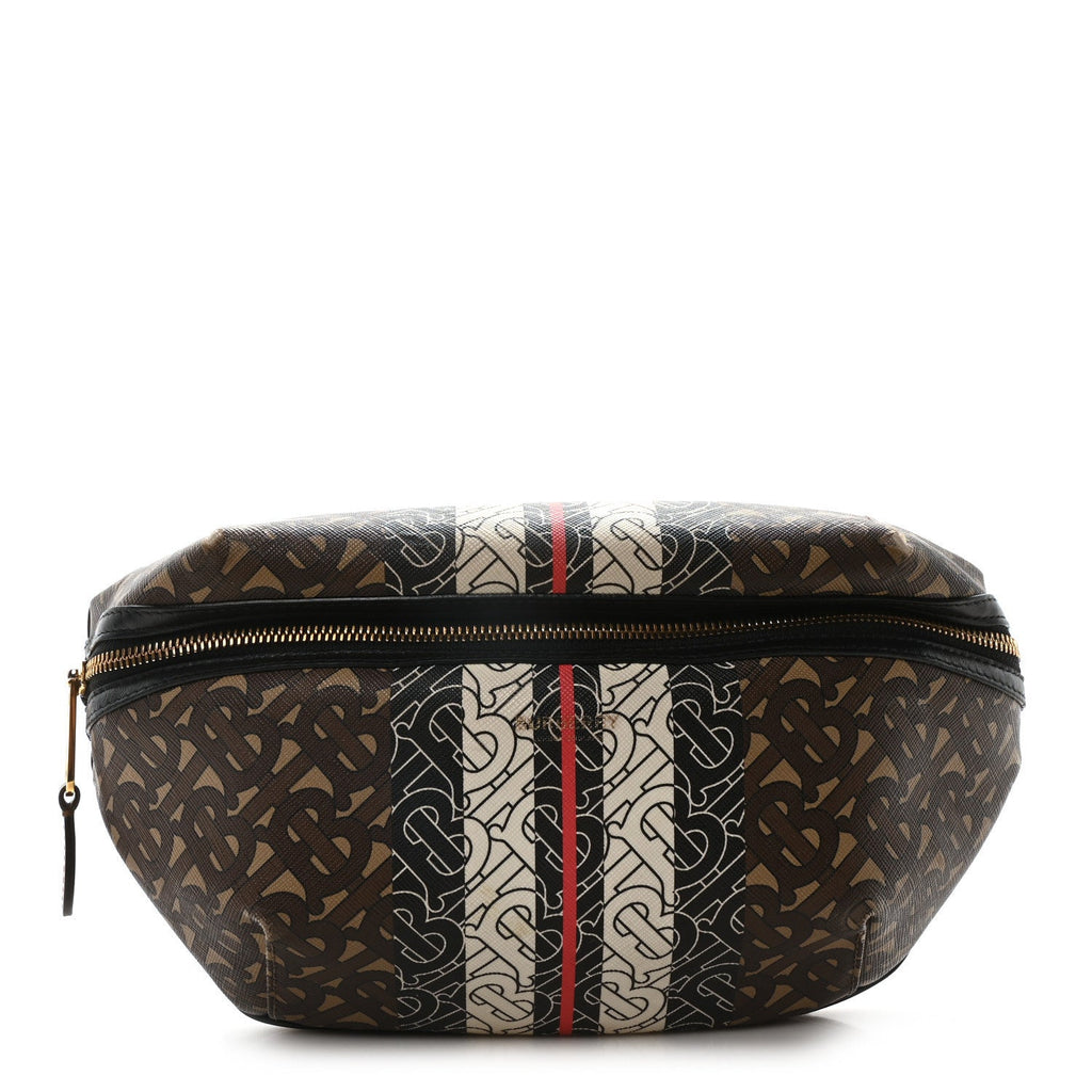 E-Canvas Monogram Stripe Medium Sonny Bum Bag Bridle Brown
