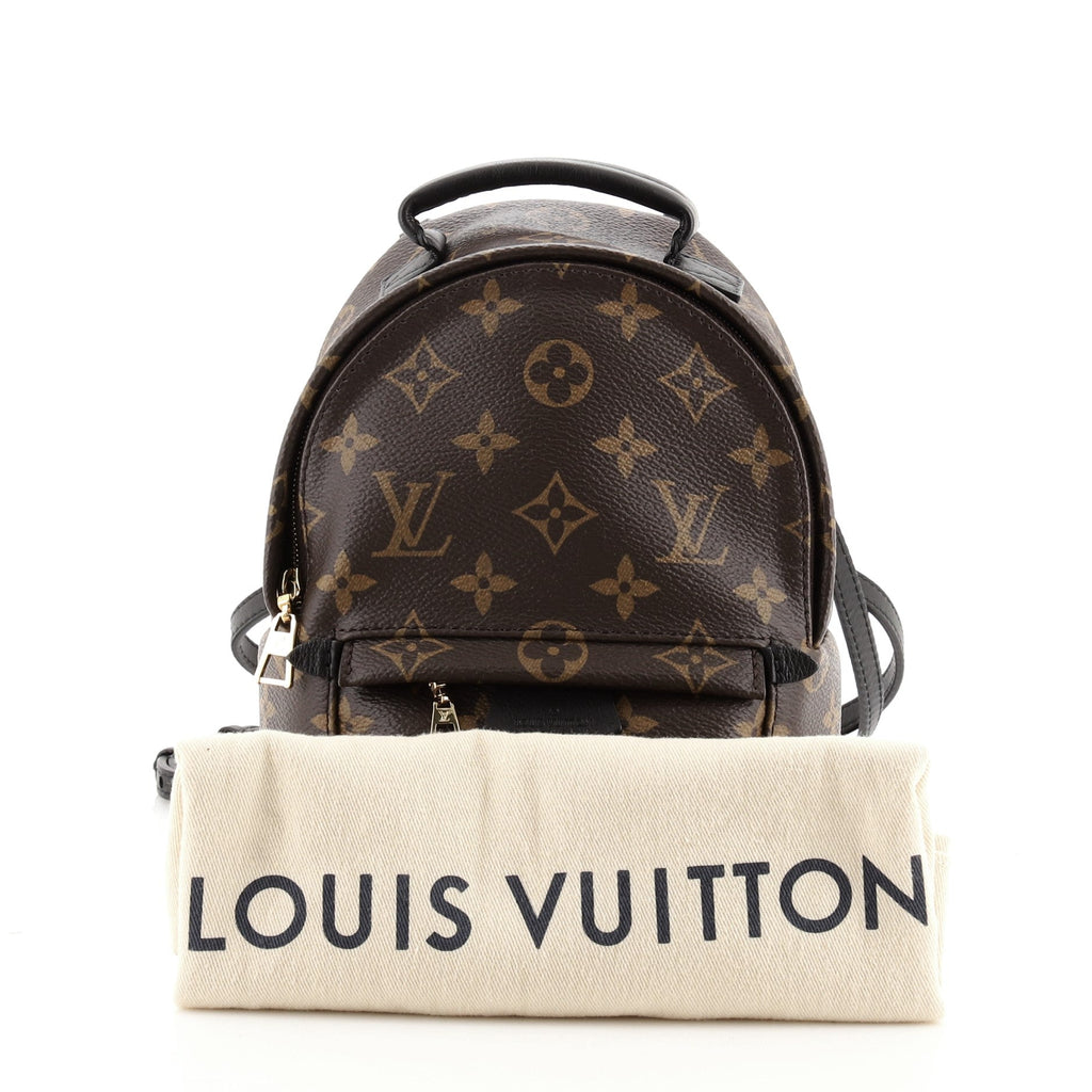 Palm Springs Backpack Monogram Canvas Mini