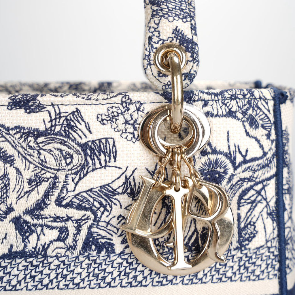 Christian Dior Lady Dior D-Lite Bag Medium in Canvas