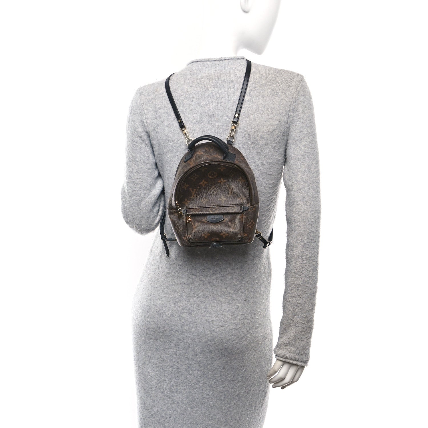 Monogram Palm Springs Backpack Mini