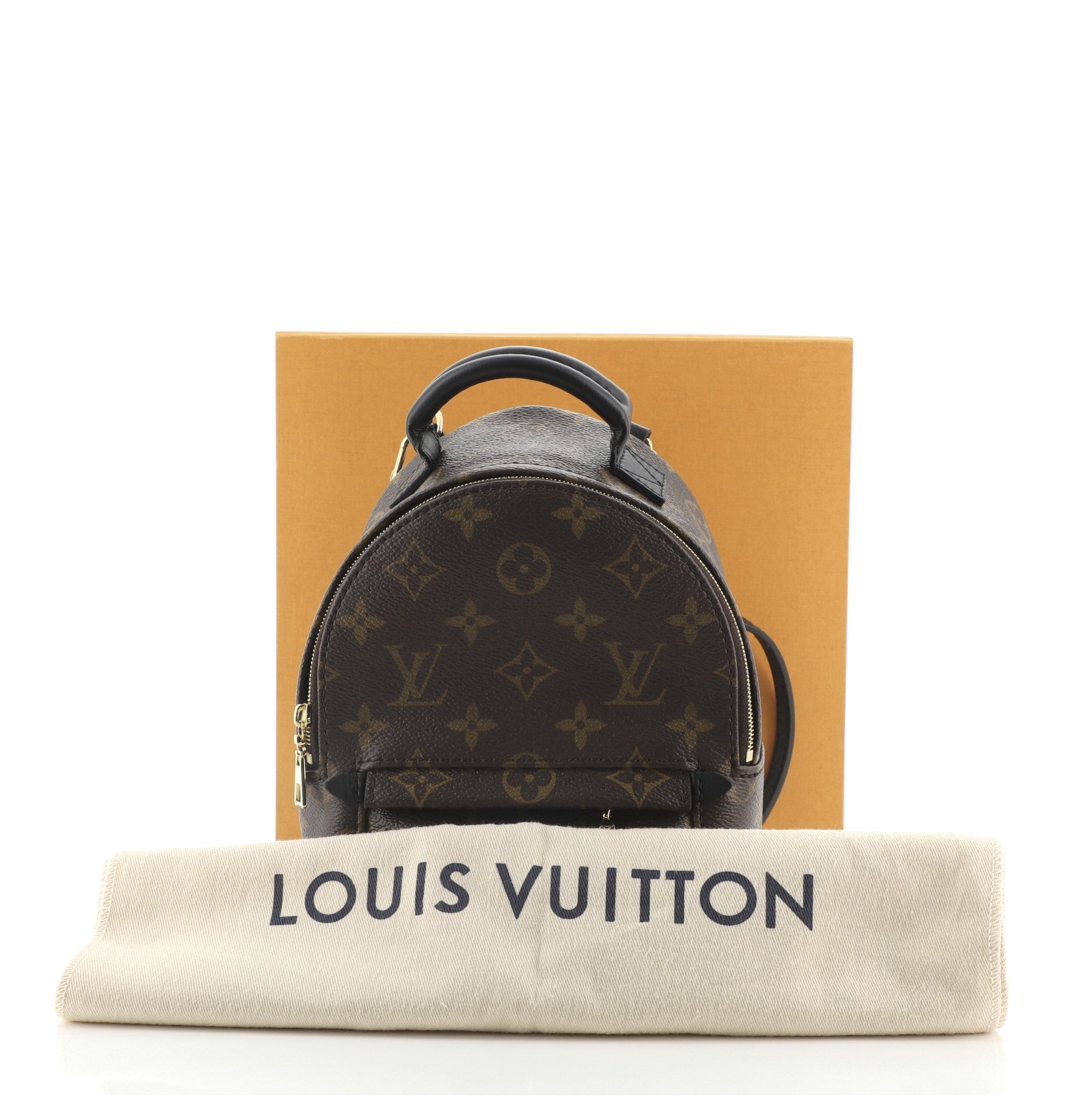 Palm Springs Backpack Monogram Canvas Mini
