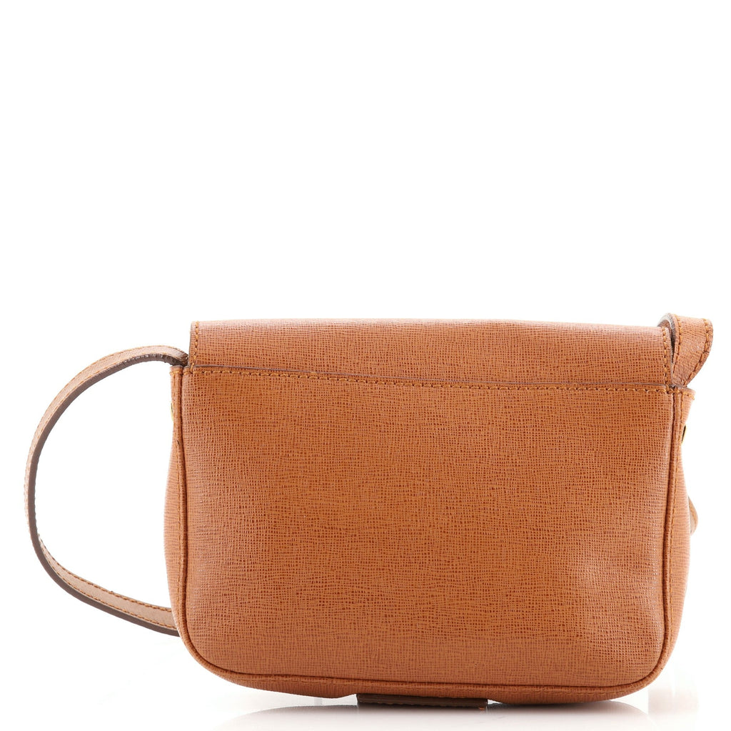 Chameleon Messenger Bag Leather Mini