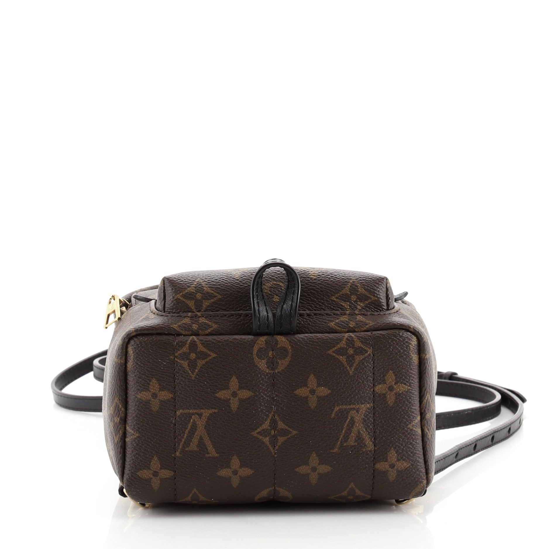 Palm Springs Backpack Monogram Canvas Mini