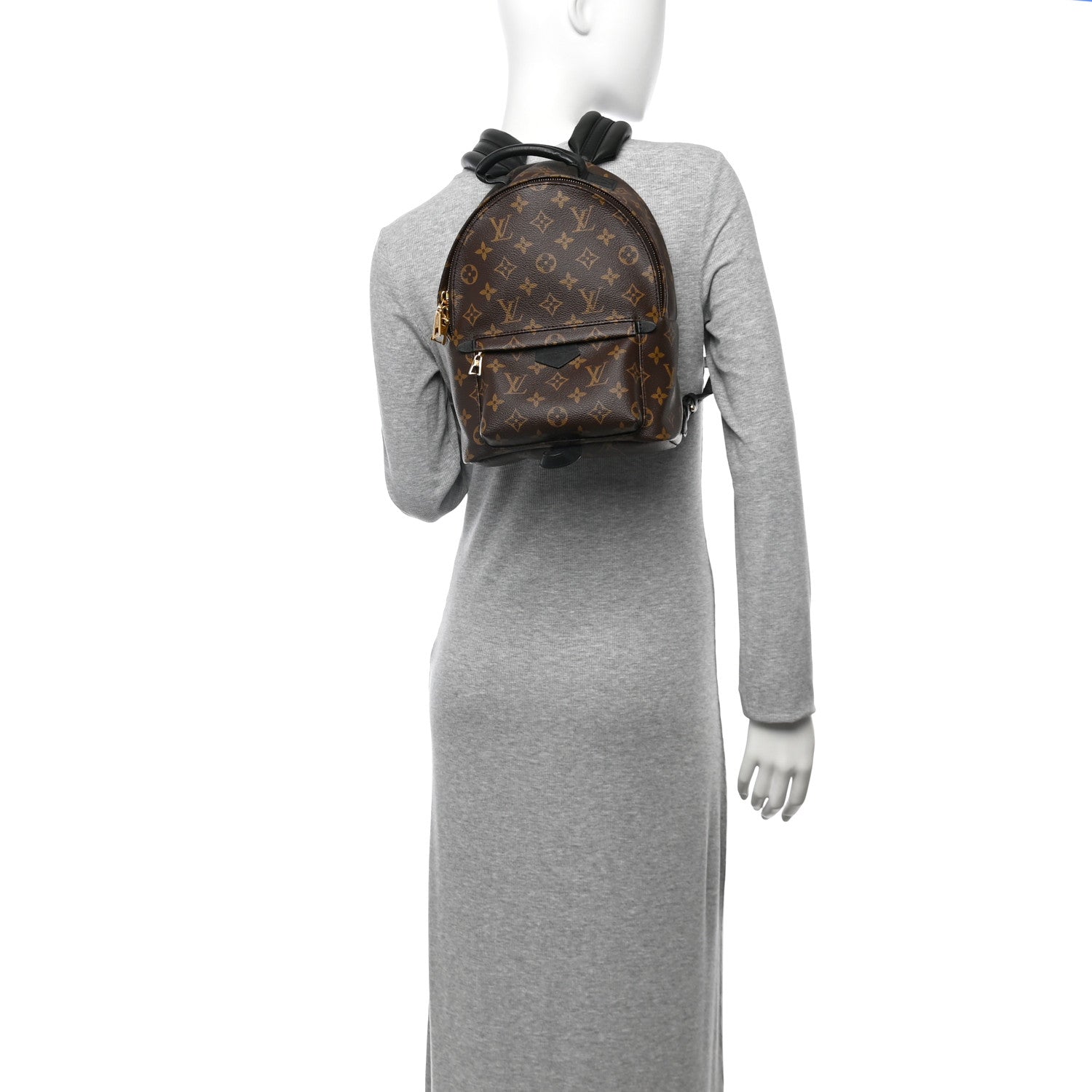Monogram Palm Springs Backpack PM