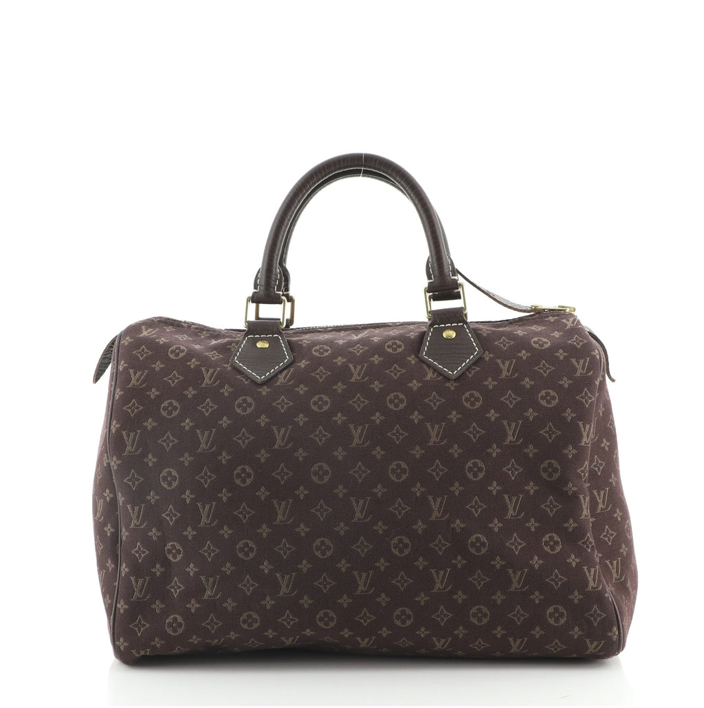 Speedy Handbag Mini Lin 30
