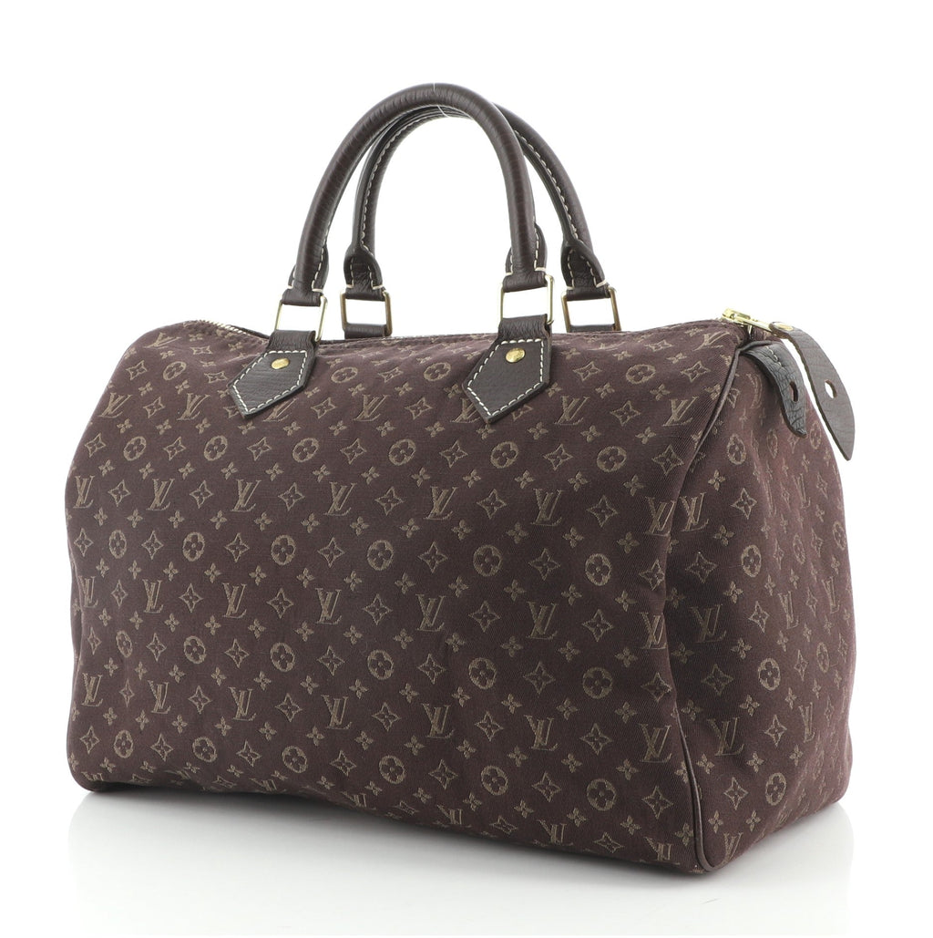 Speedy Handbag Mini Lin 30