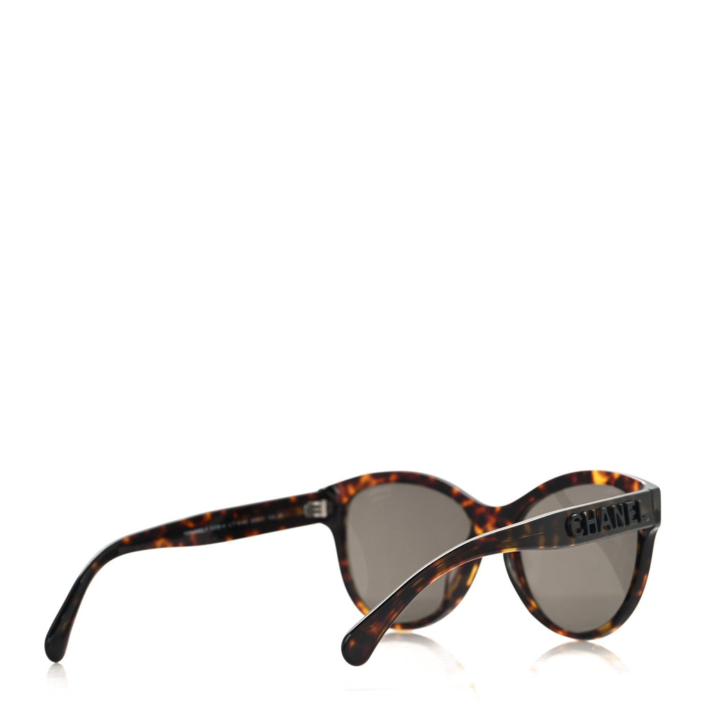 Acetate Pantos Logo Sunglasses 5458 Tortoise Brown