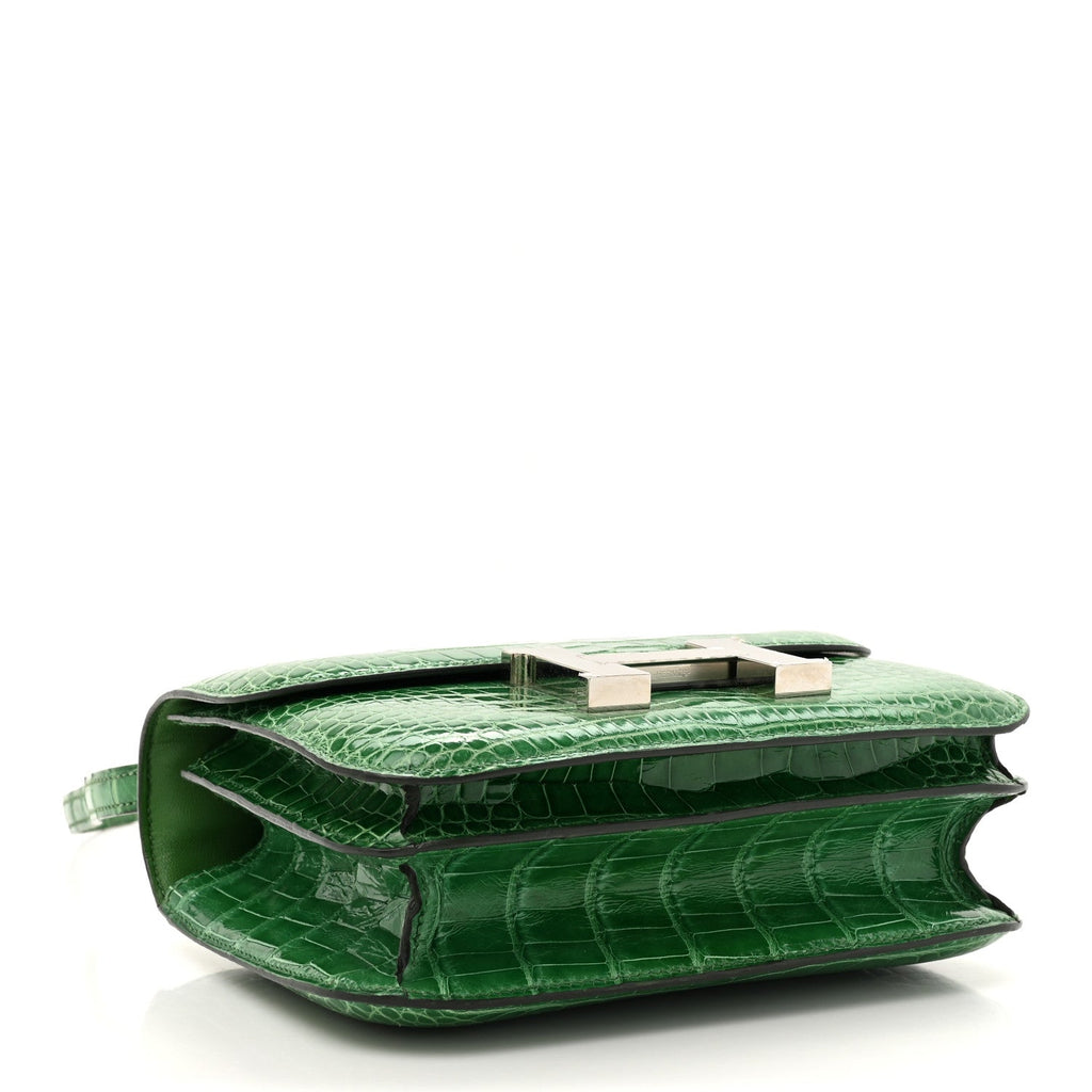 Shiny Alligator Constance 18 Cactus