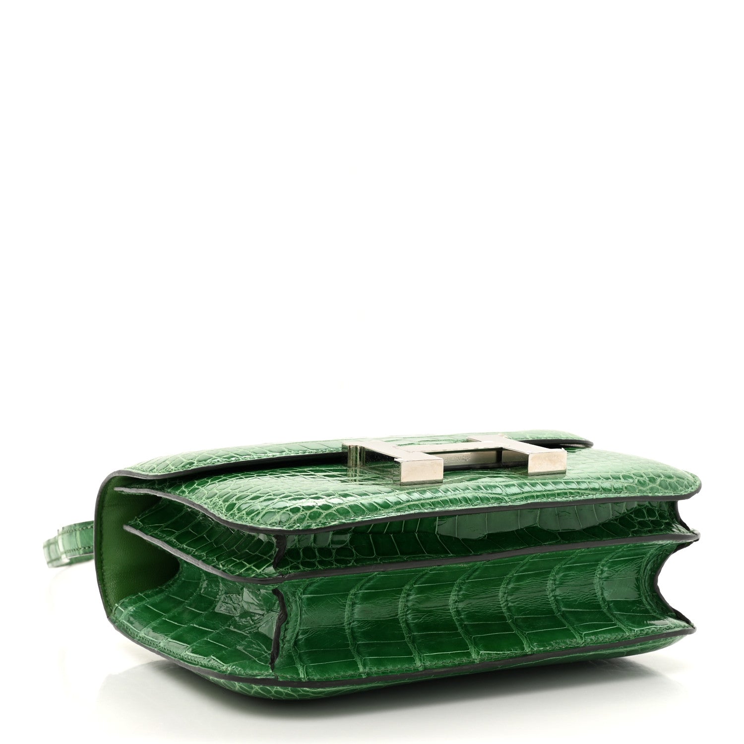 Shiny Alligator Constance 18 Cactus