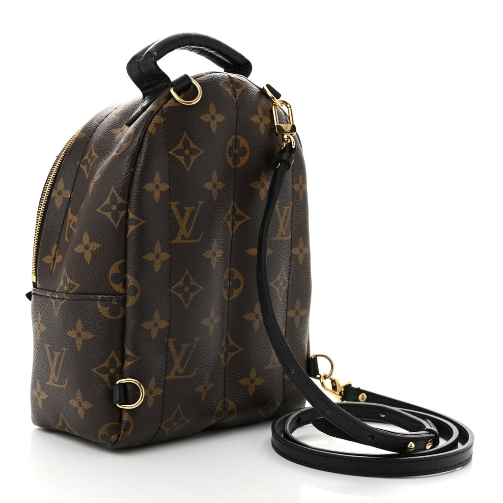 Monogram Palm Springs Backpack Mini
