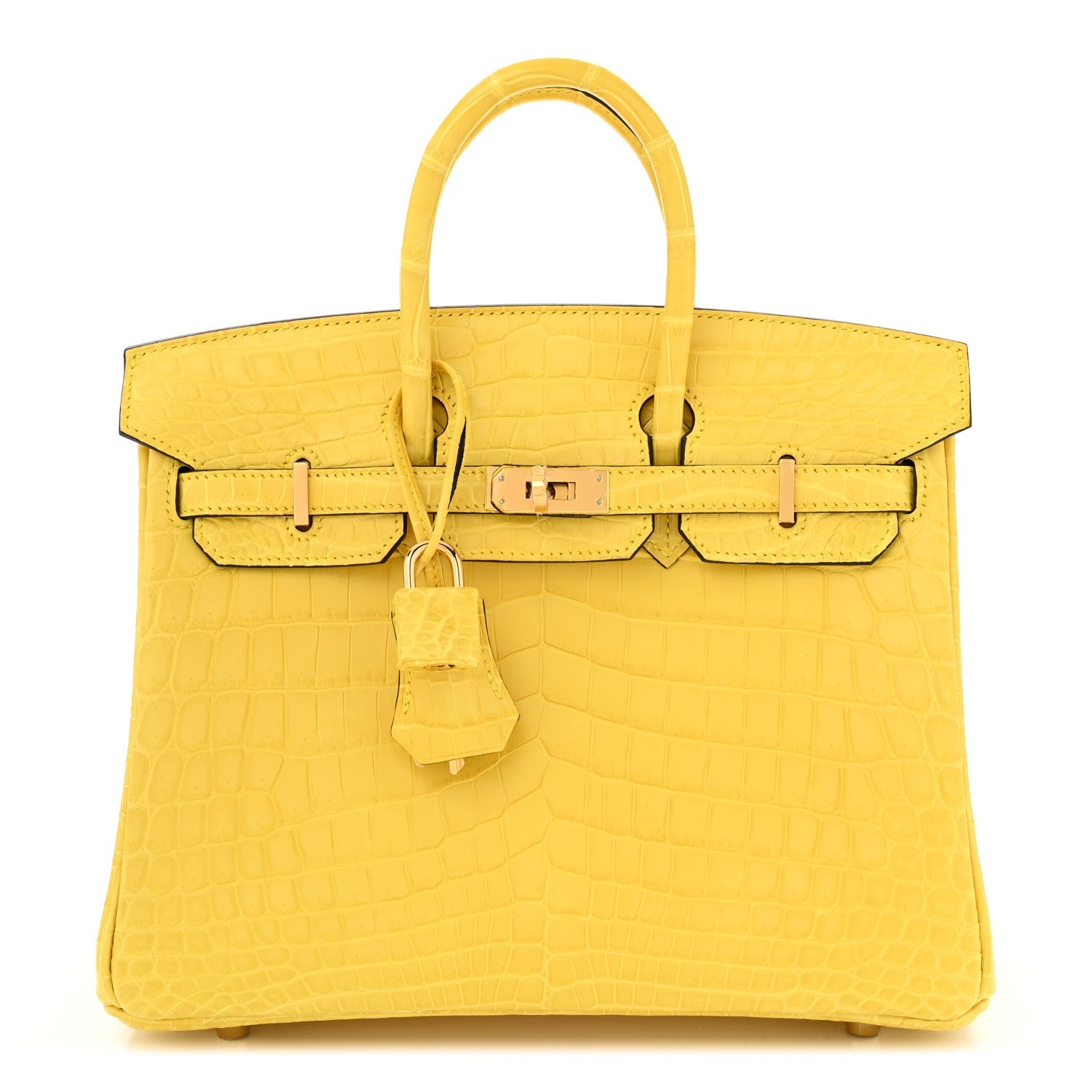 Matte Niloticus Crocodile Birkin 25 Mimosa