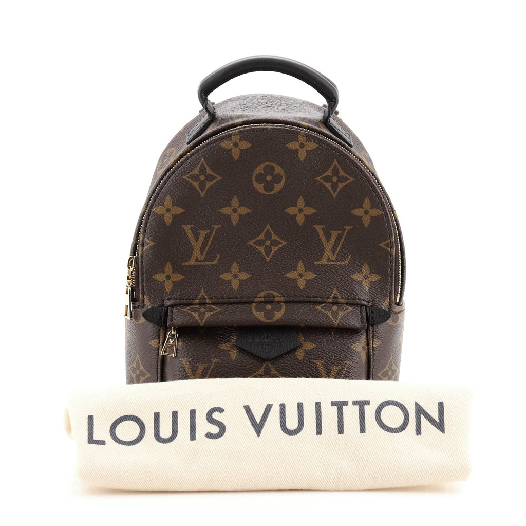 Palm Springs Backpack Monogram Canvas Mini