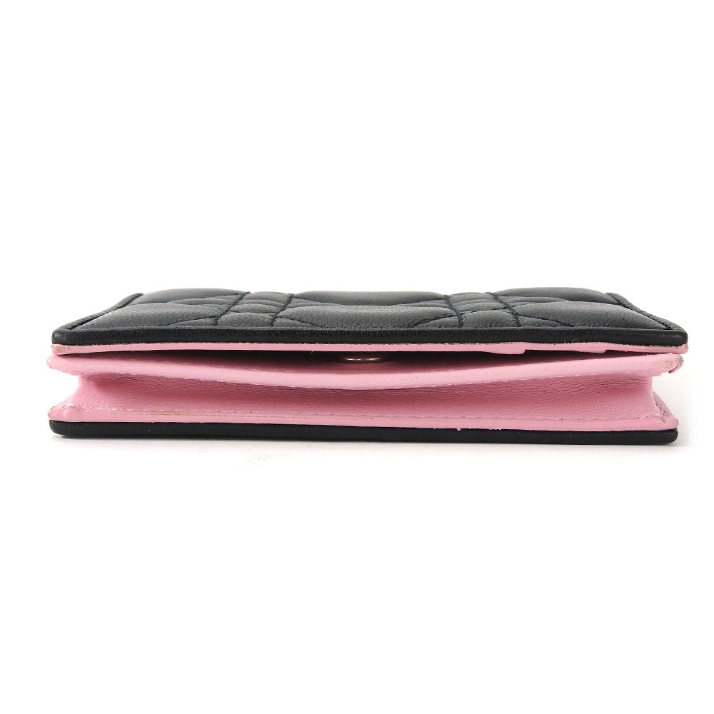 Christian Dior Canage Leather  Case