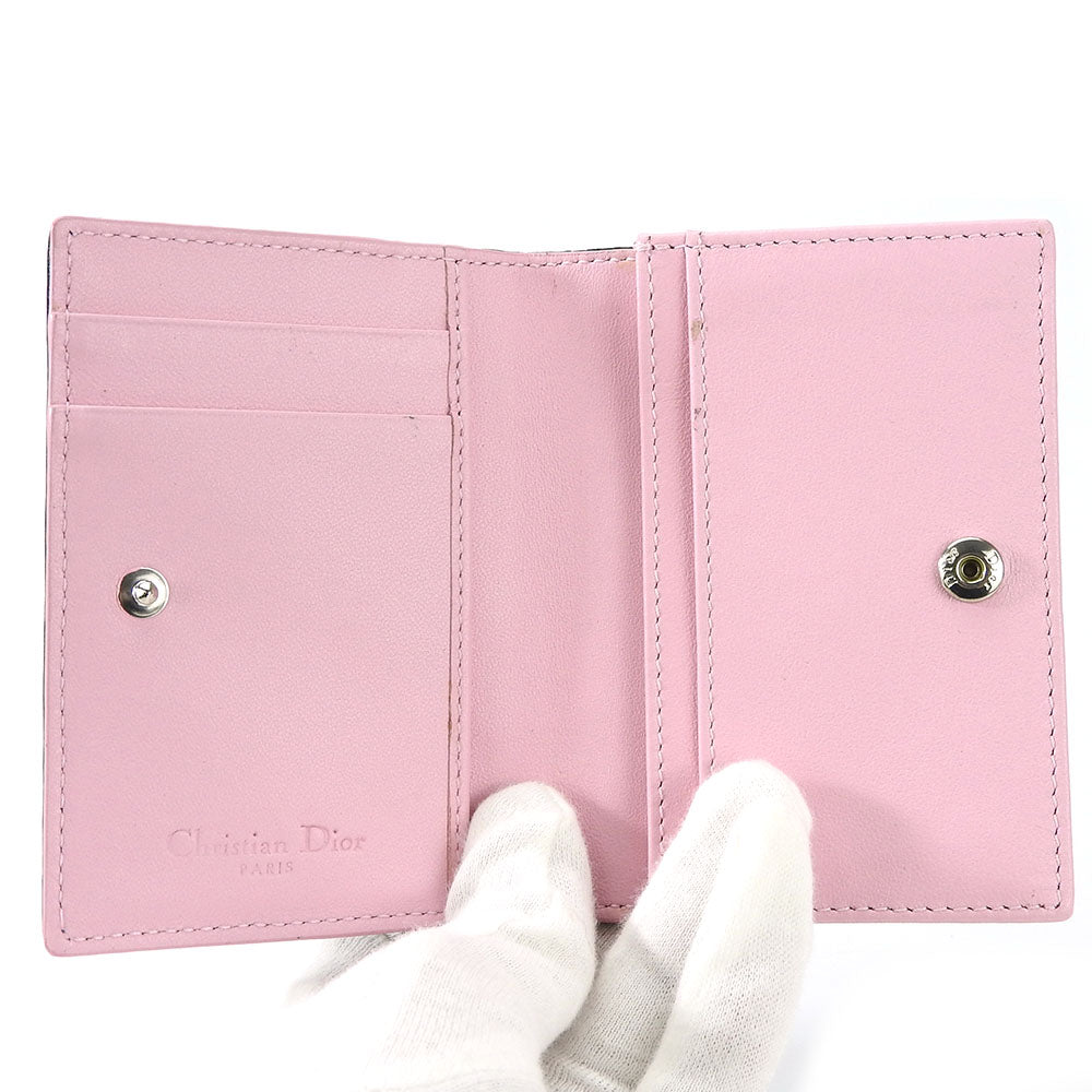 Christian Dior Canage Leather  Case