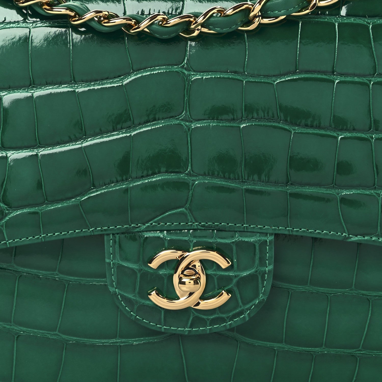 Alligator Jumbo Double Flap Green