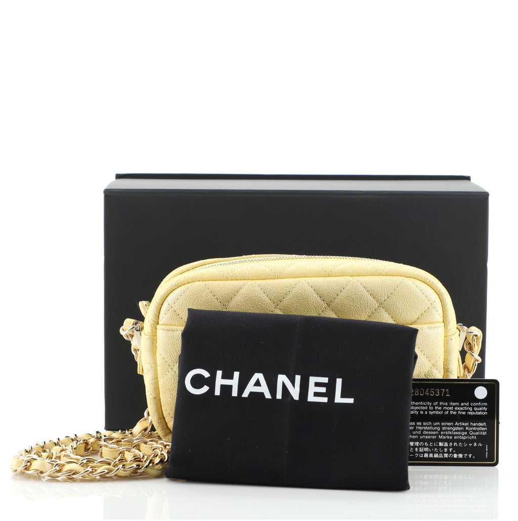 Camera Case Bag Quilted Iridescent Caviar Mini