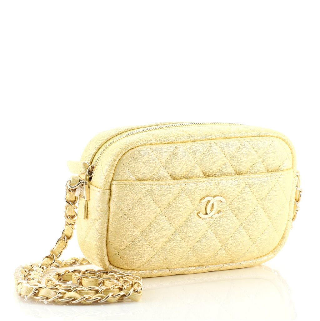 Camera Case Bag Quilted Iridescent Caviar Mini
