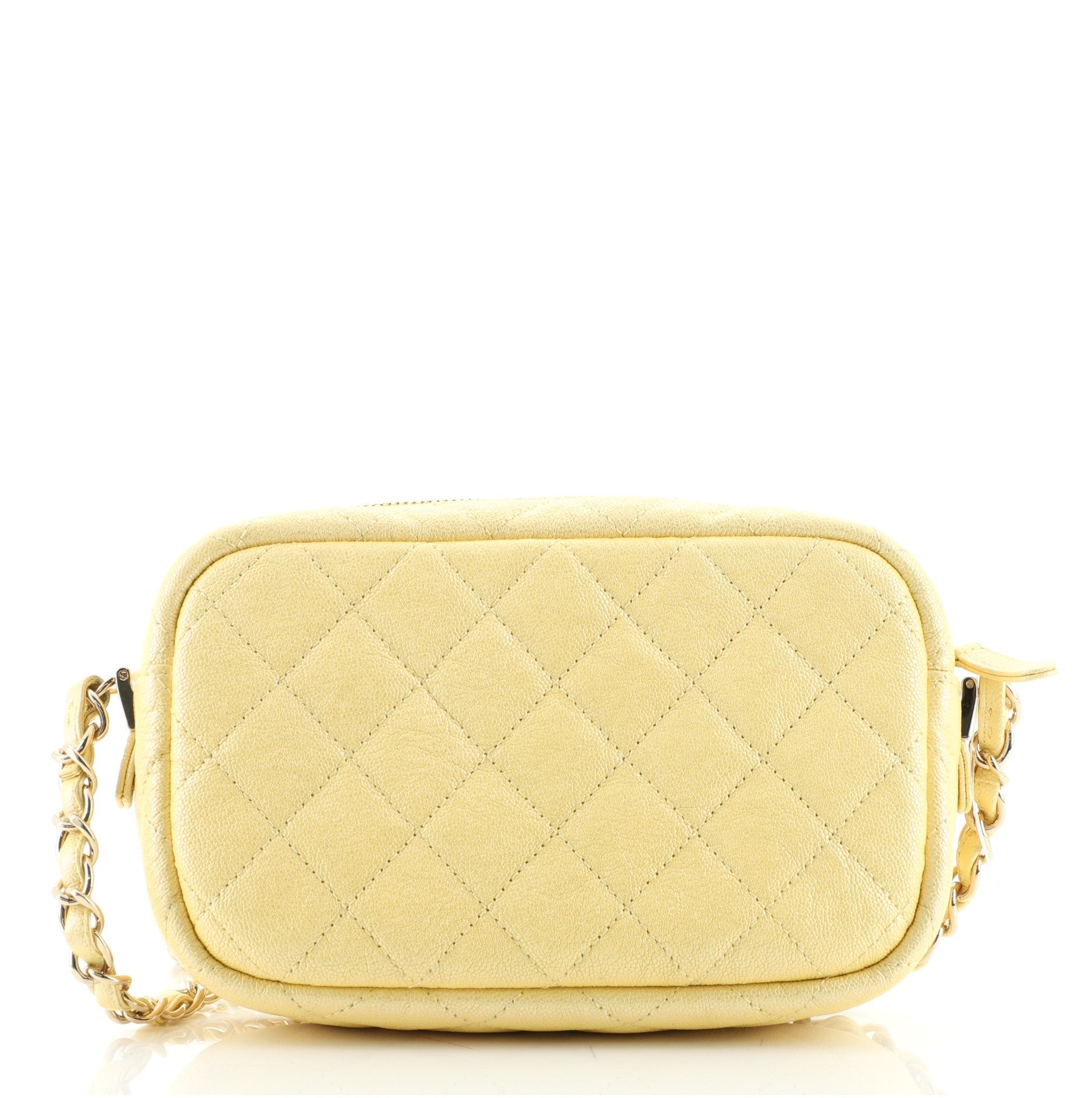Camera Case Bag Quilted Iridescent Caviar Mini