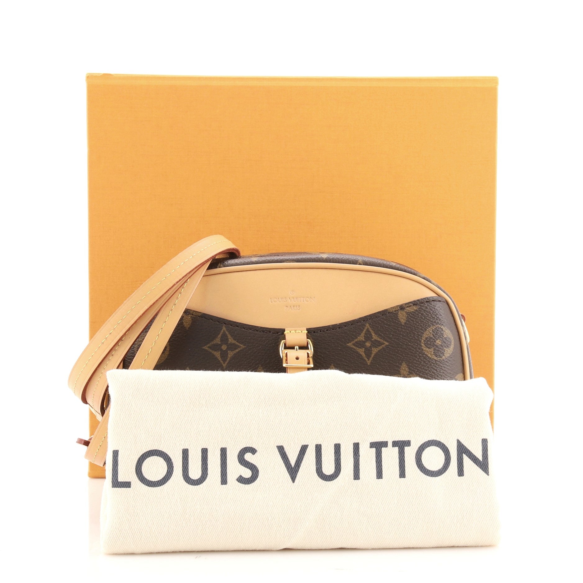 Deauville Handbag Monogram Canvas Mini