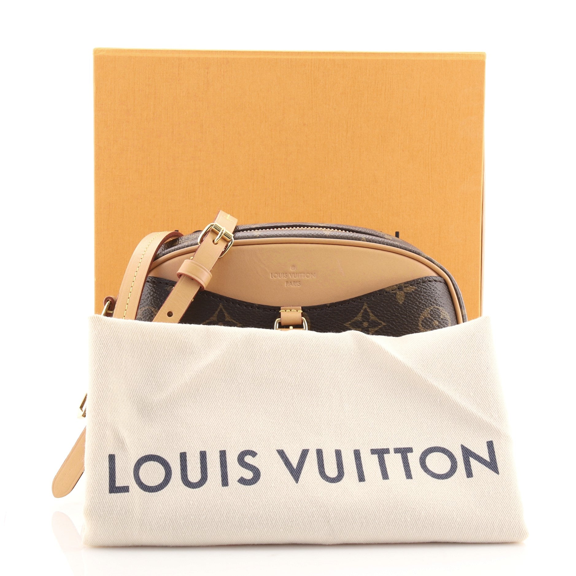 Deauville Handbag Monogram Canvas Mini