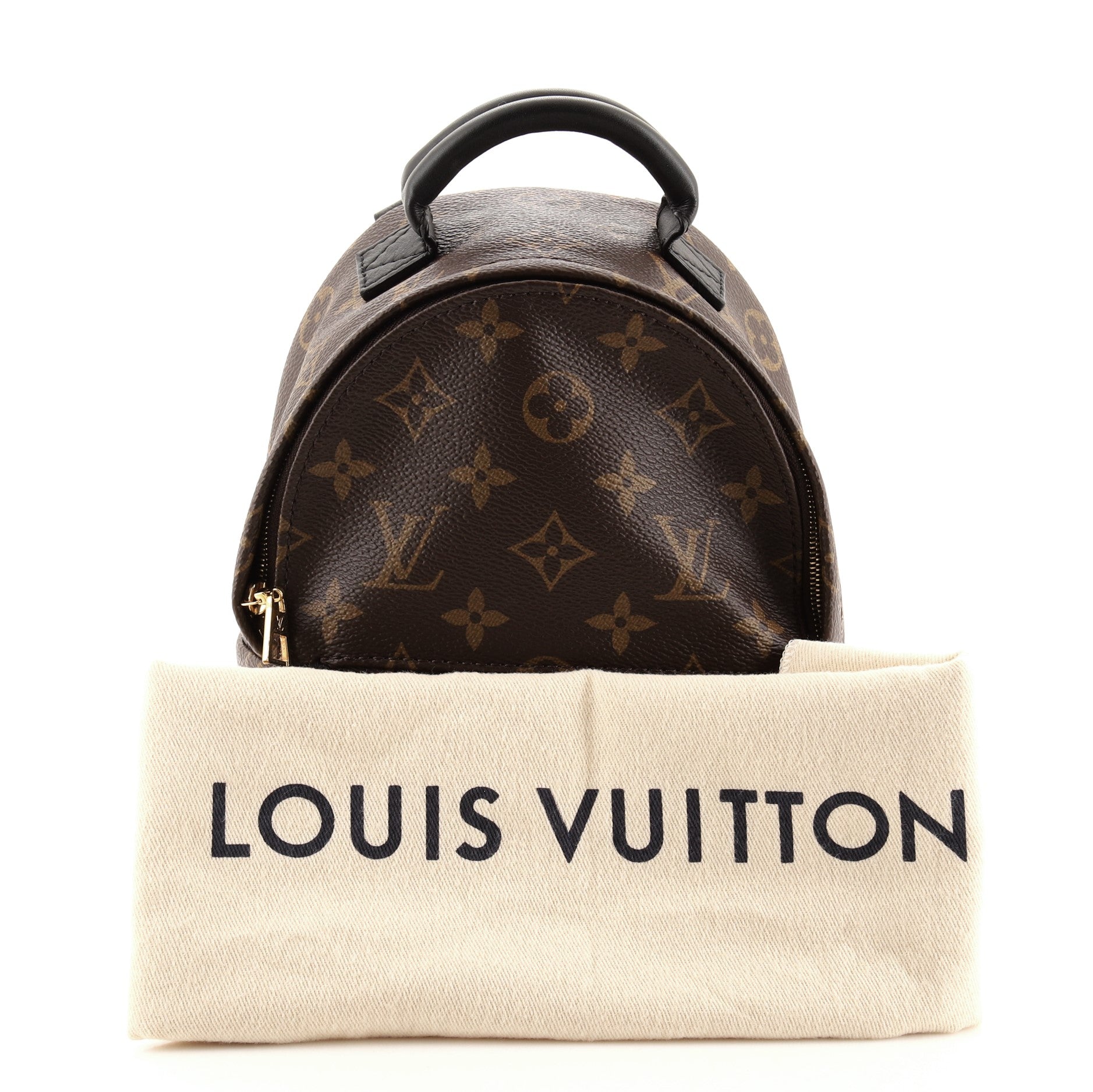 Palm Springs Backpack Monogram Canvas Mini