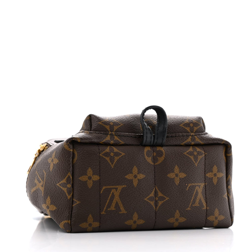 Monogram Palm Springs Backpack Mini