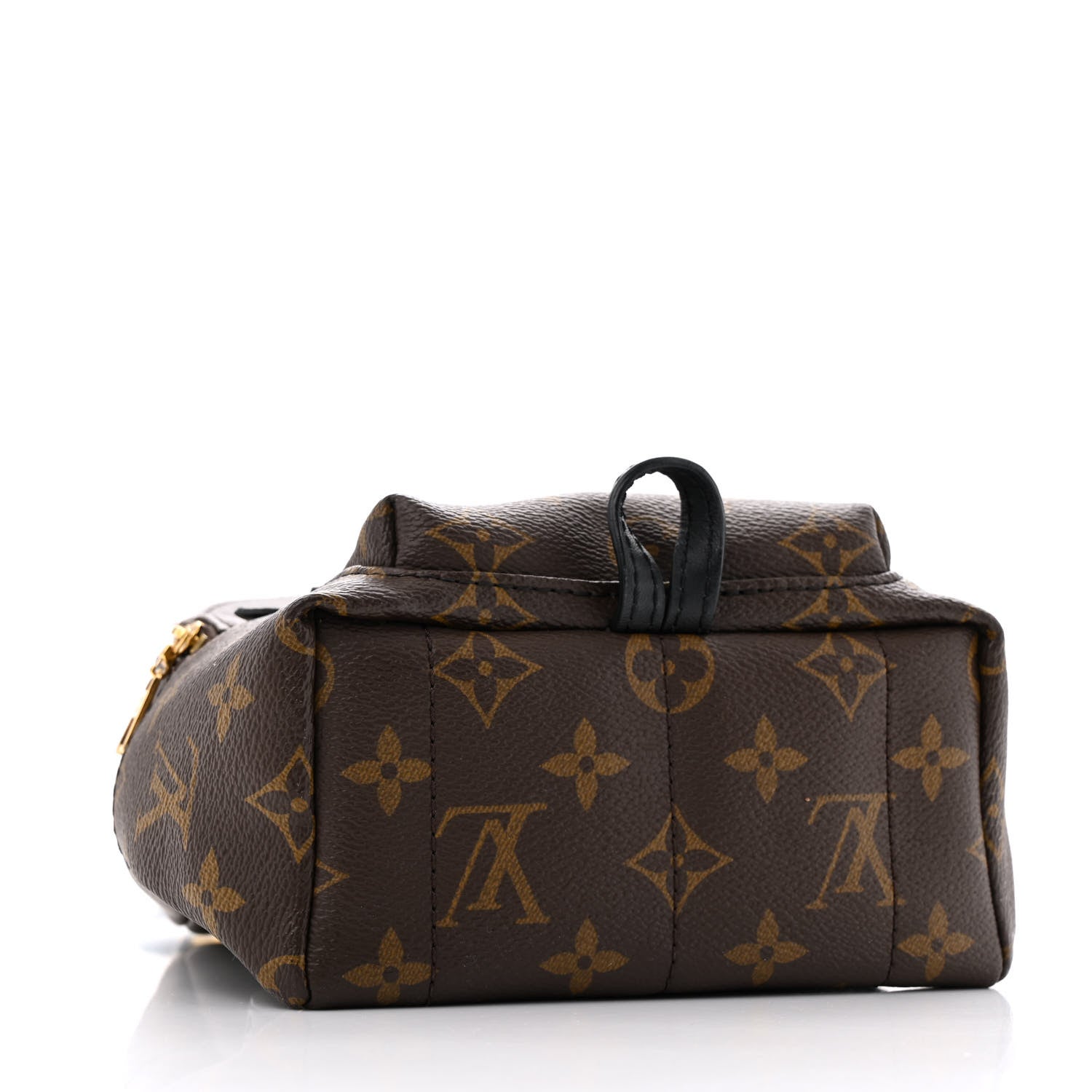 Monogram Palm Springs Backpack Mini
