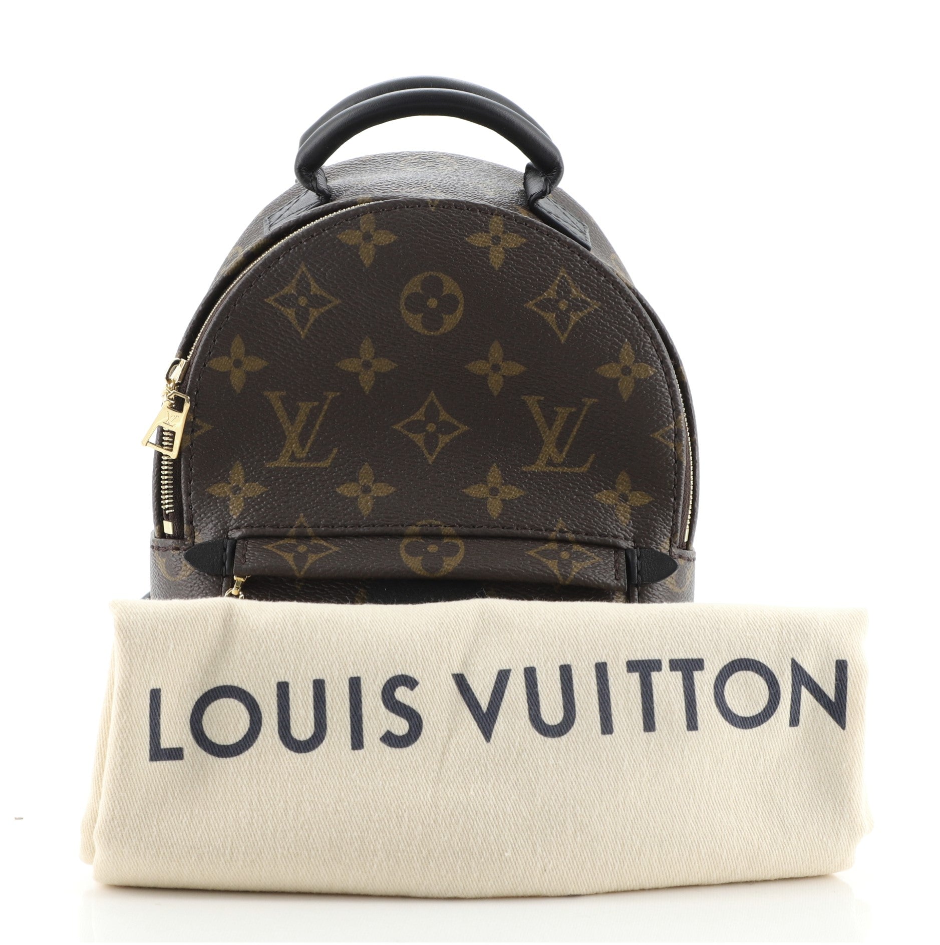 Palm Springs Backpack Monogram Canvas Mini