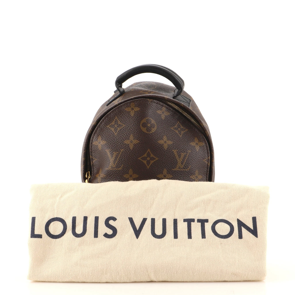 Palm Springs Backpack Monogram Canvas Mini