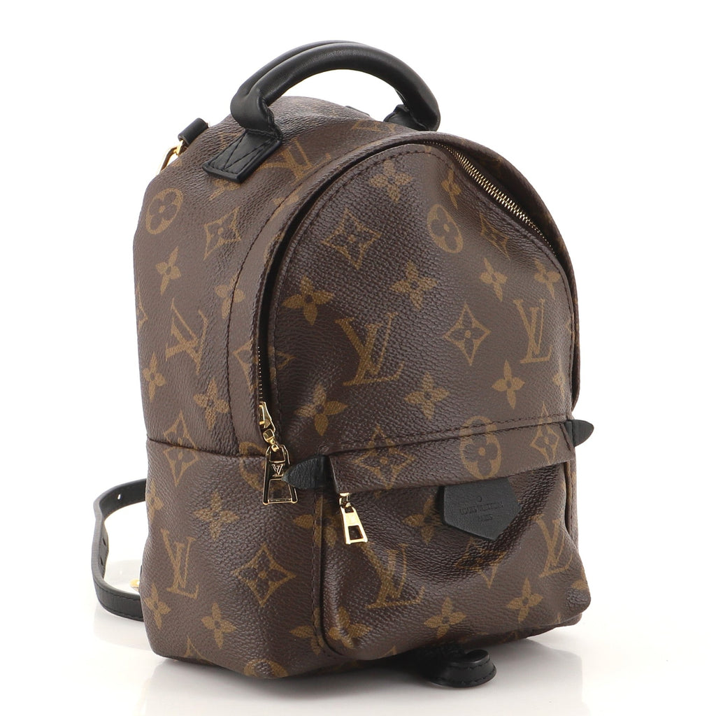 Palm Springs Backpack Monogram Canvas Mini