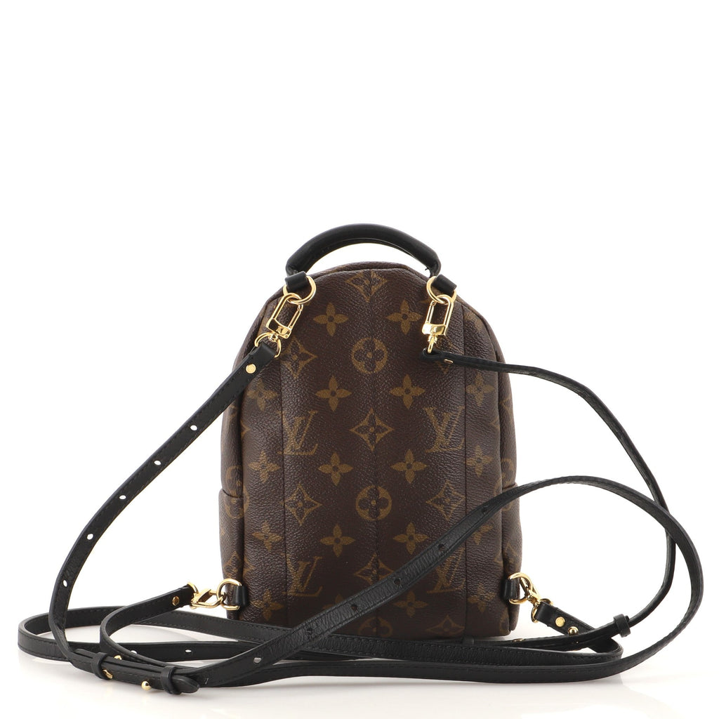 Palm Springs Backpack Monogram Canvas Mini