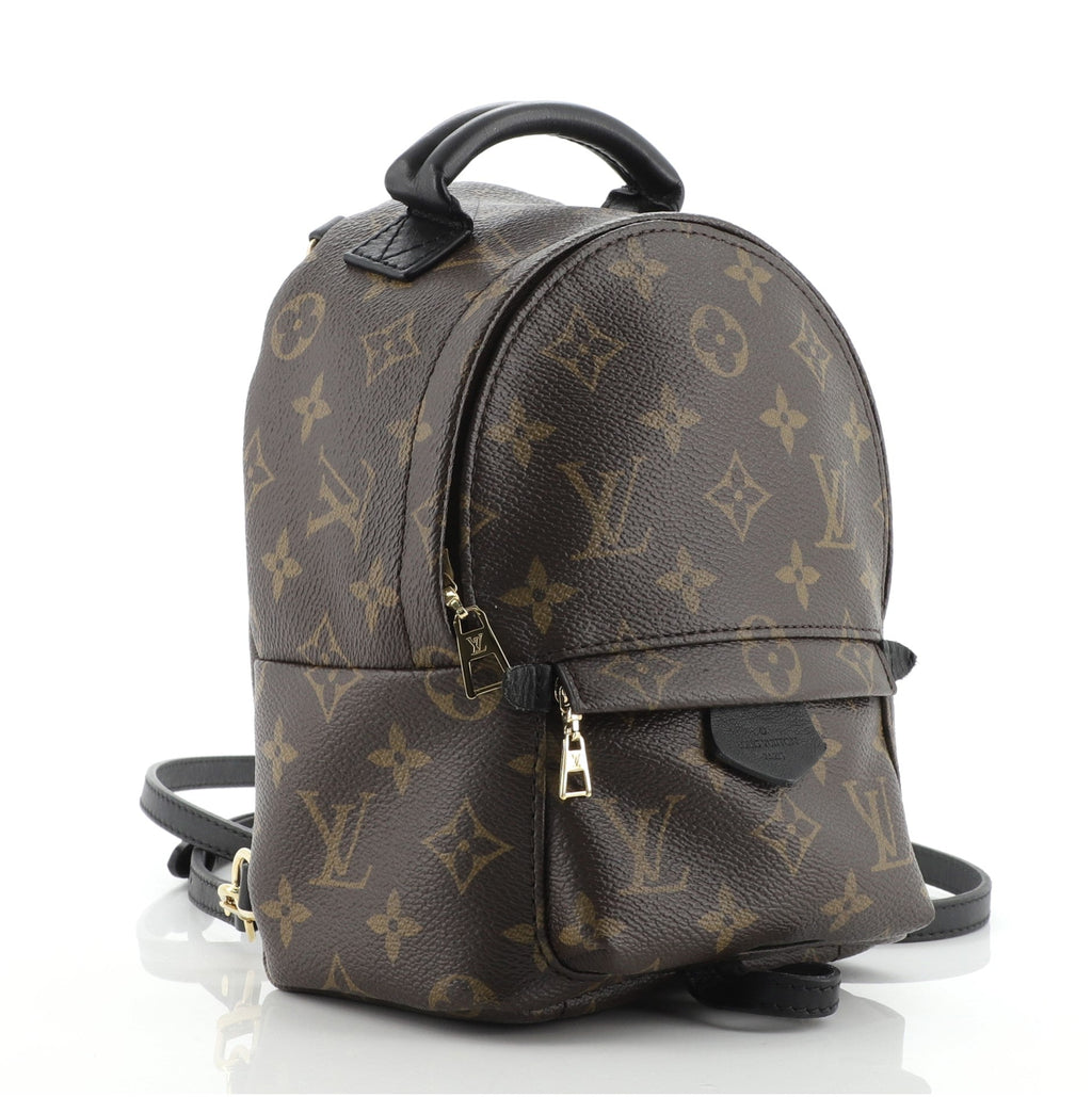 Palm Springs Backpack Monogram Canvas Mini