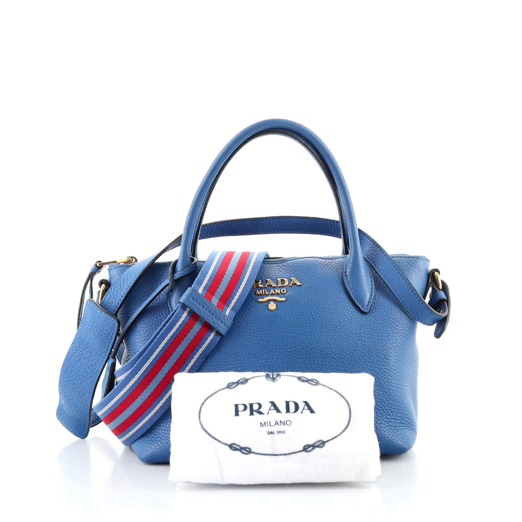 Dual Strap Zip Tote Vitello Daino Mini
