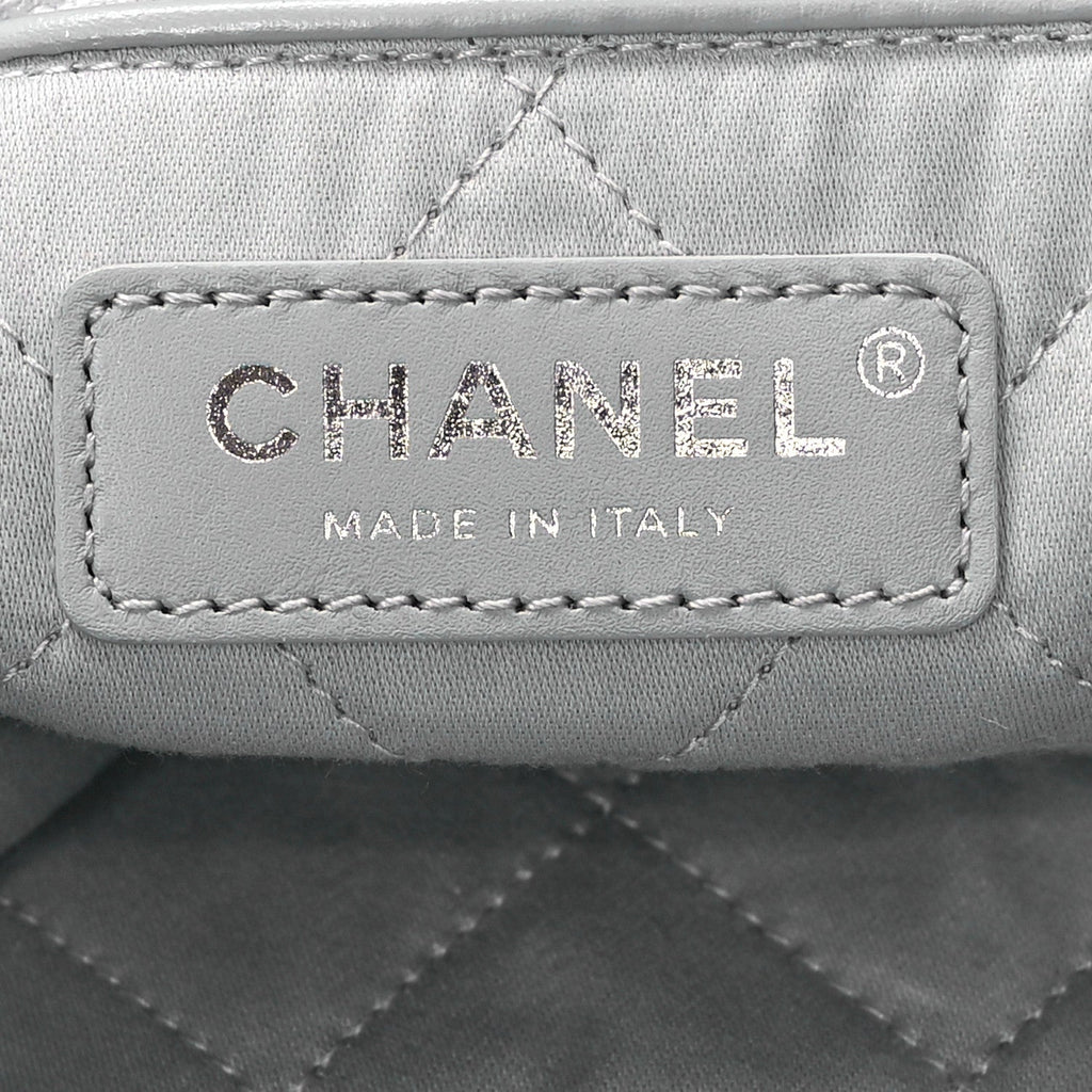 Metallic Calfskin Quilted Small Chanel 22 Silver