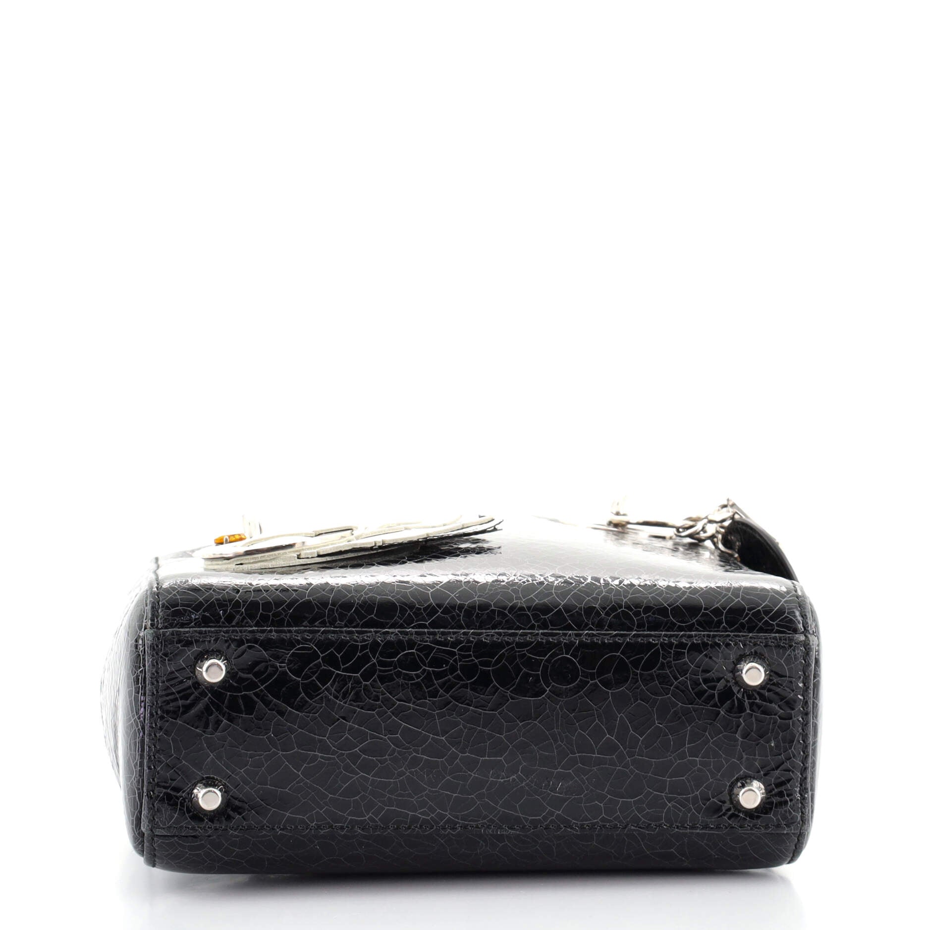 Lady Dior Bag Limited Edition Embellished Crackled Deerskin Mini