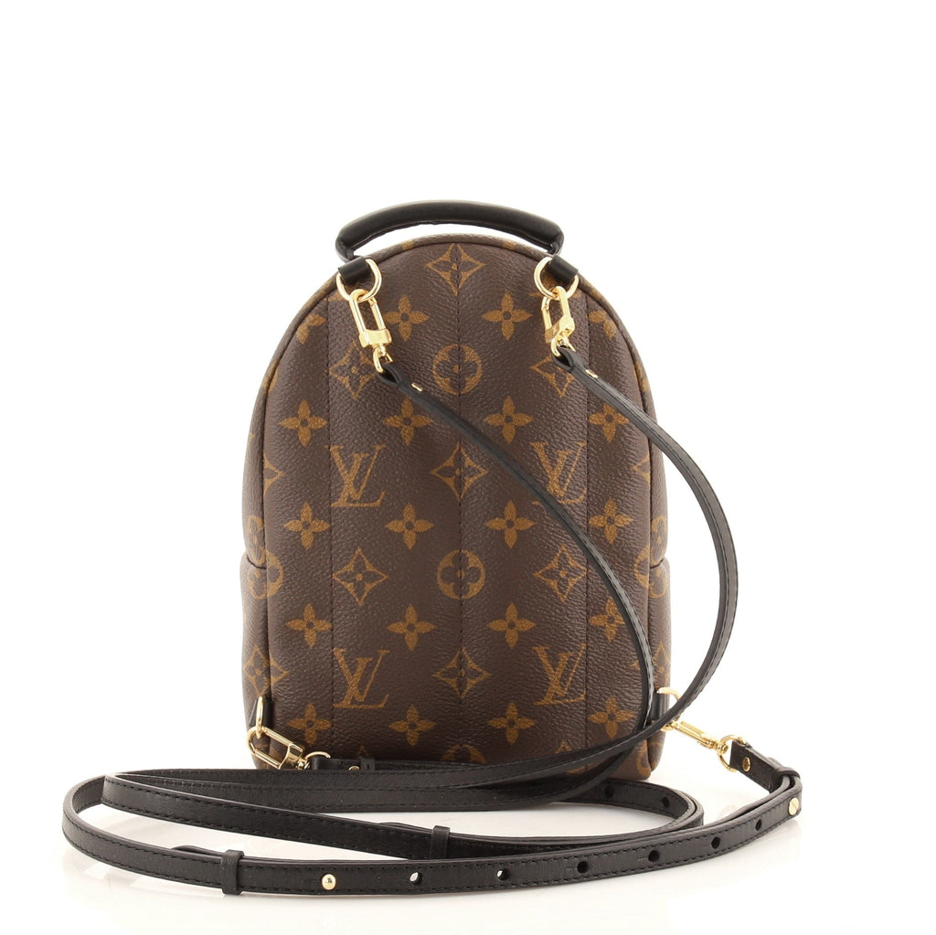 Palm Springs Backpack Monogram Canvas Mini