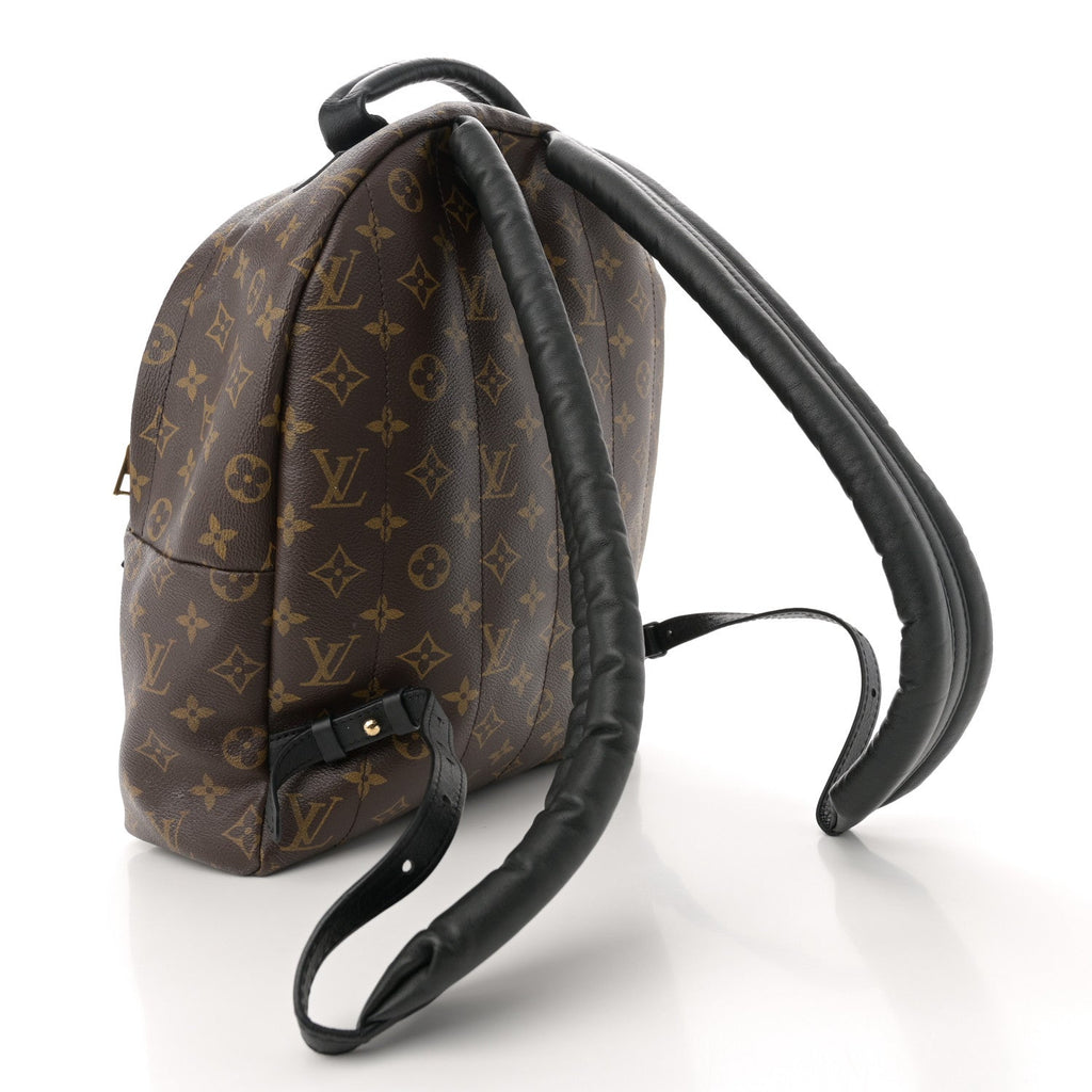 Monogram Palm Springs Backpack MM