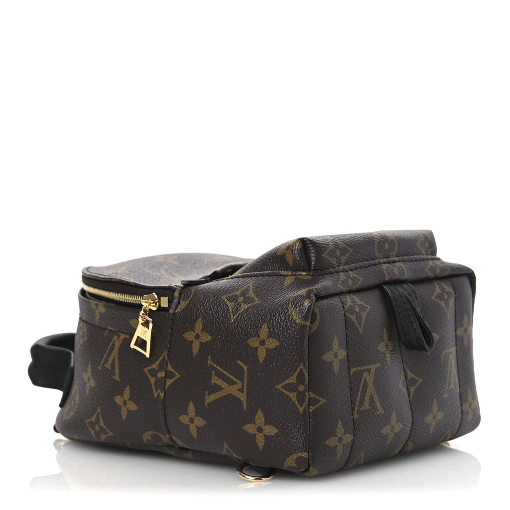 Monogram Palm Springs Backpack Mini