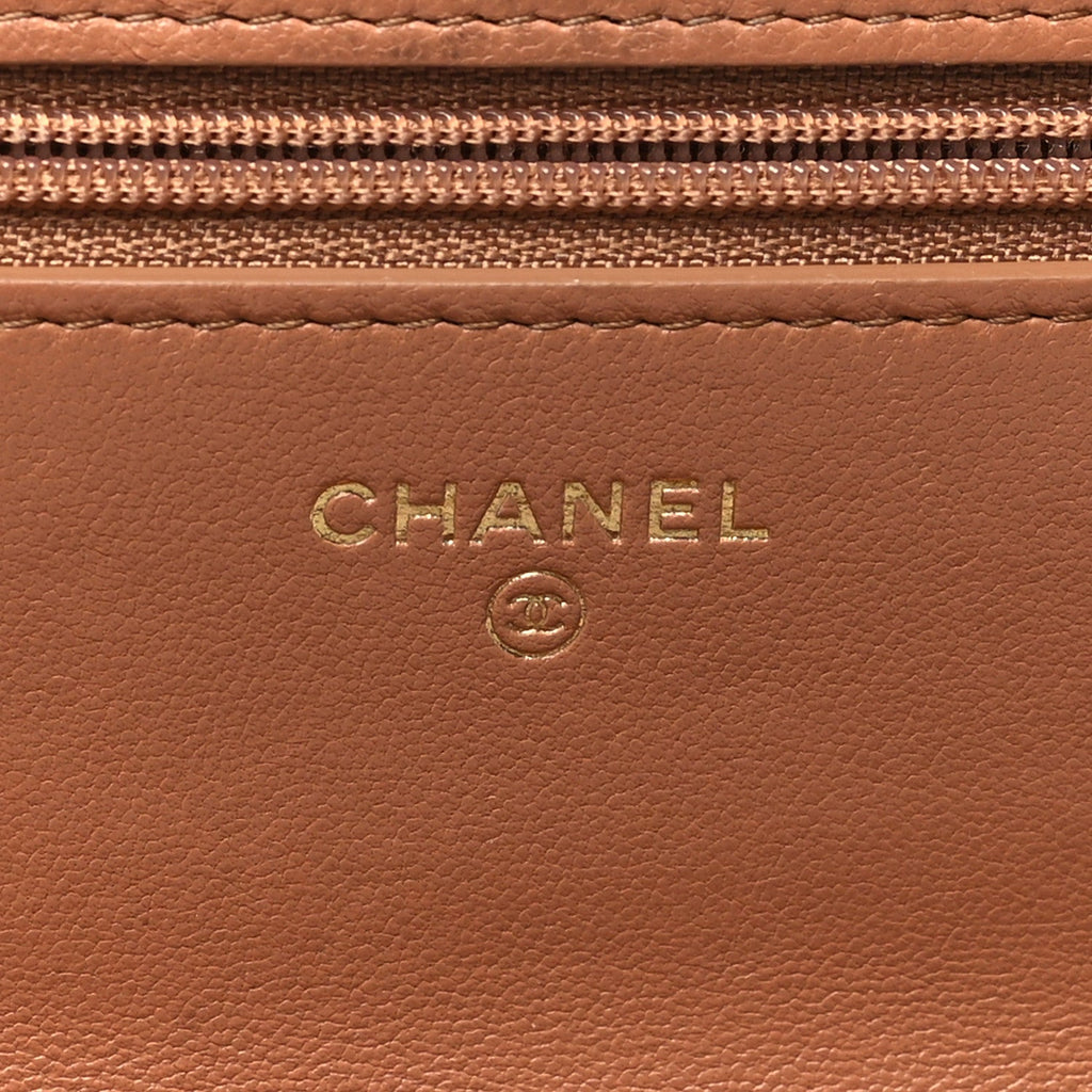Lambskin Quilted Chanel 19 Wallet On Chain WOC Brown
