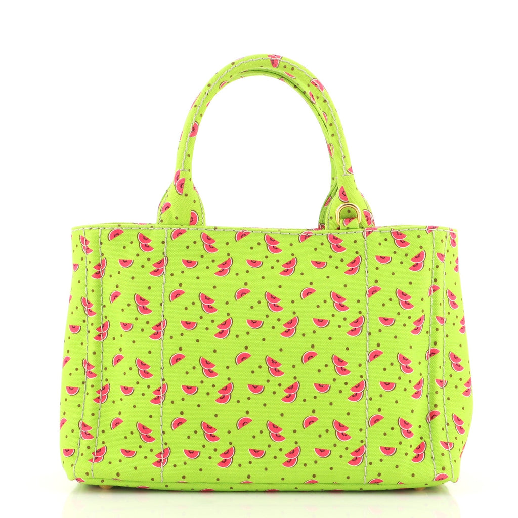 Canapa Convertible Tote Printed Canvas Mini