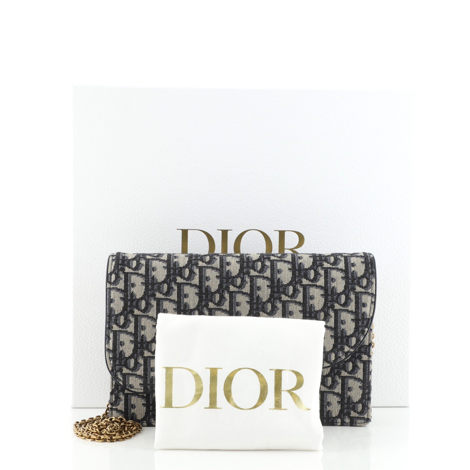 Saddle Chain Clutch Oblique Canvas
