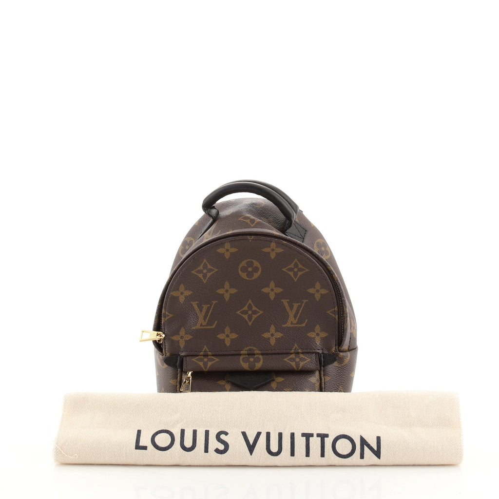 Palm Springs Backpack Monogram Canvas Mini