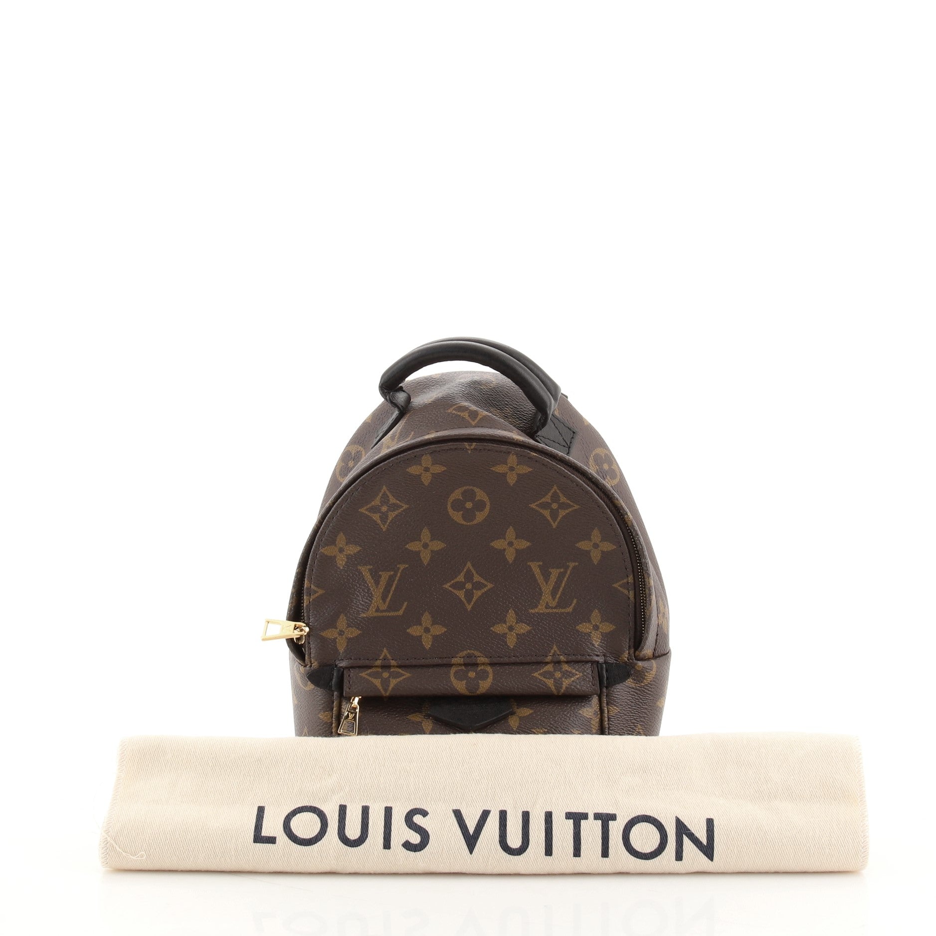 Palm Springs Backpack Monogram Canvas Mini