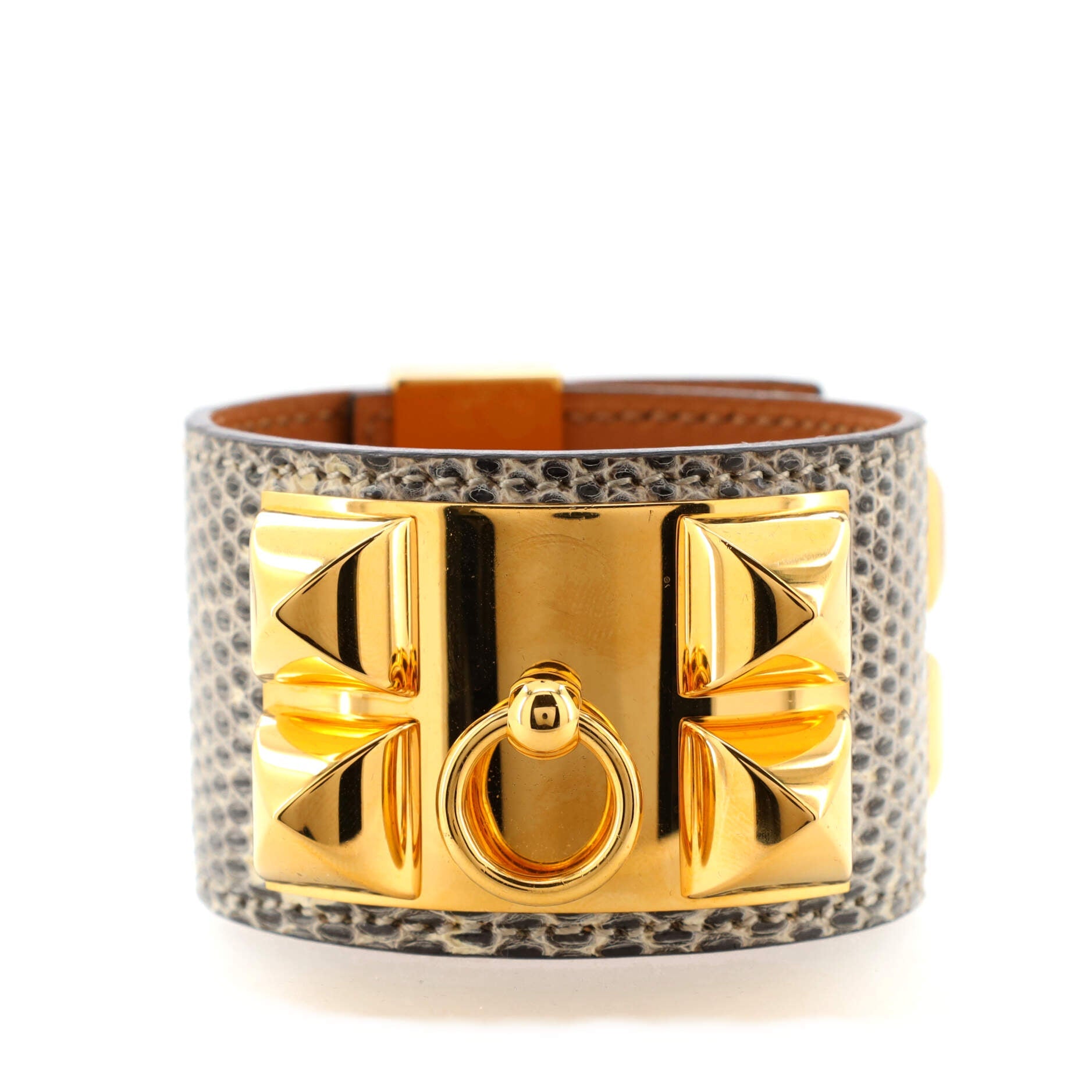 Collier de Chien Bracelet Lizard